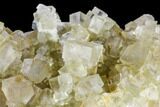 Yellow Cubic Fluorite Crystal Cluster - Morocco #104605-2